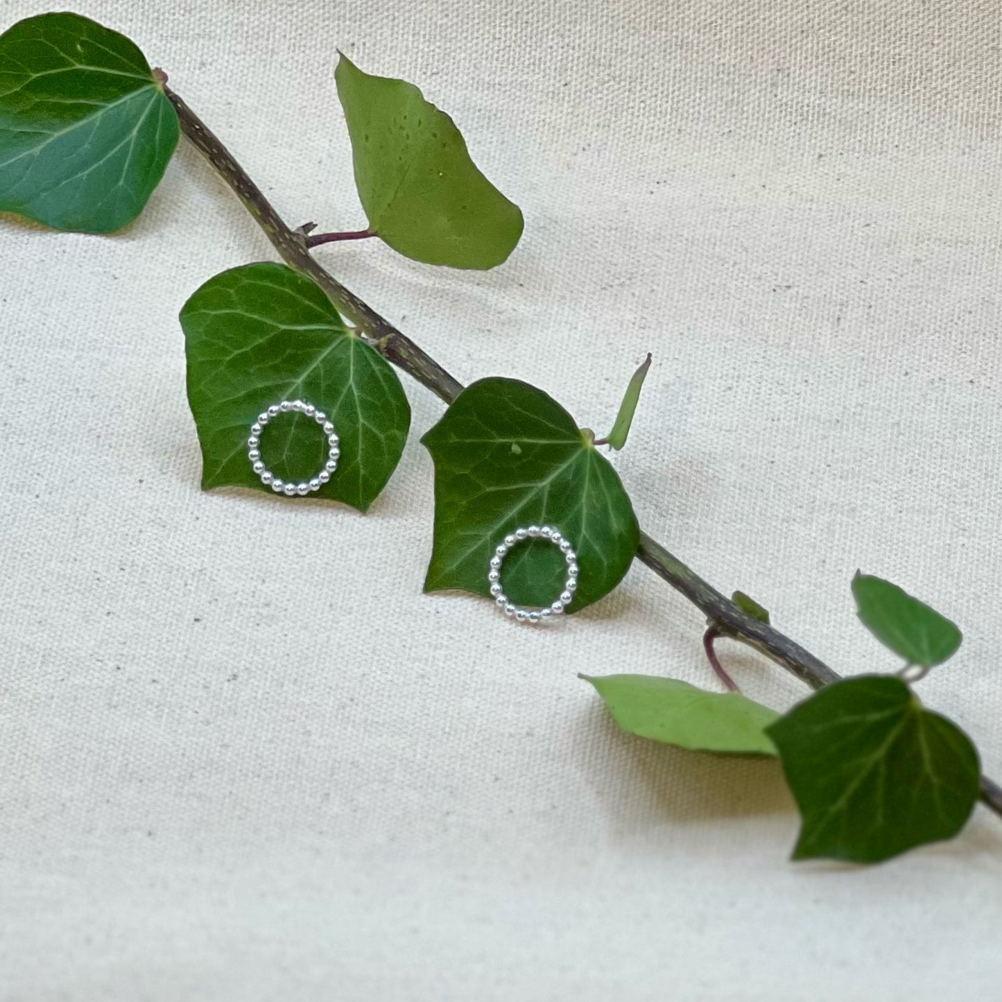 New Circle Earrings